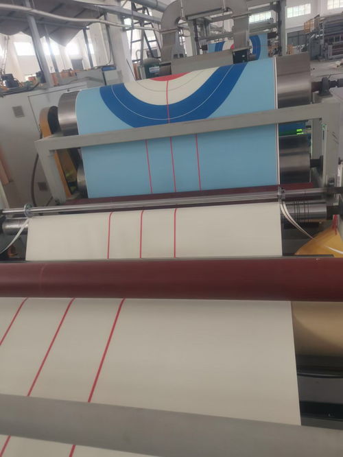專業(yè)定制，盡顯非凡——記昨日工廠所見陸地冰壺地壺球專用運動地板