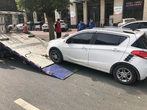 漯河市啟動機動車違停拖移執法，數字化后臺管理系統提升執法效能