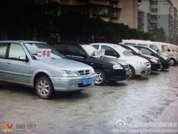 綠化道變經(jīng)營地，宜賓翠柏大道的“后臺(tái)”之謎